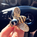 Pearl Bee Brooch