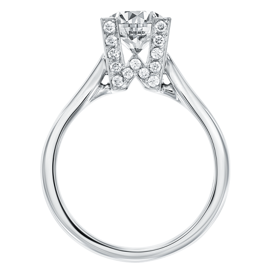 Round Brilliant Moissanite Micropav¨¦ Ring