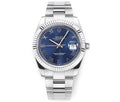 Blue & Stainless Steel 41MM Watch