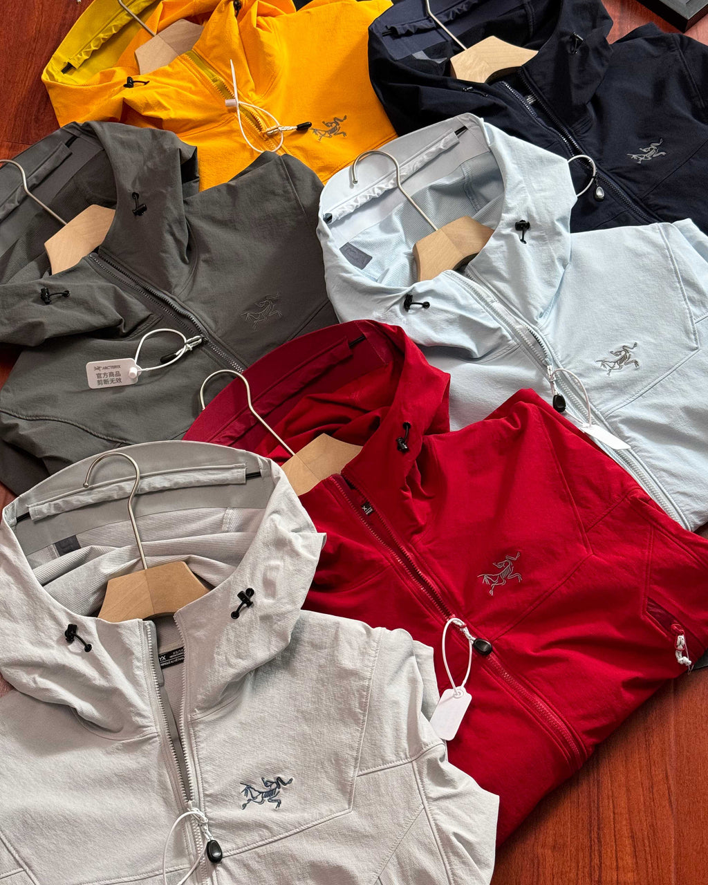 Arc'teryx Gamma Hoody Softshell Jacket