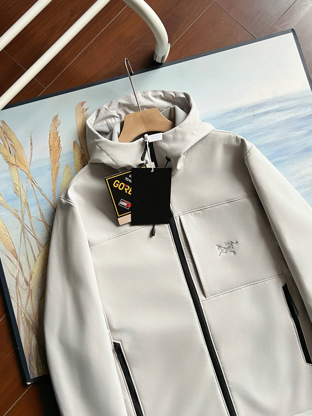 Arc'teryx GAMMA MX Softshell Hooded Jacket
