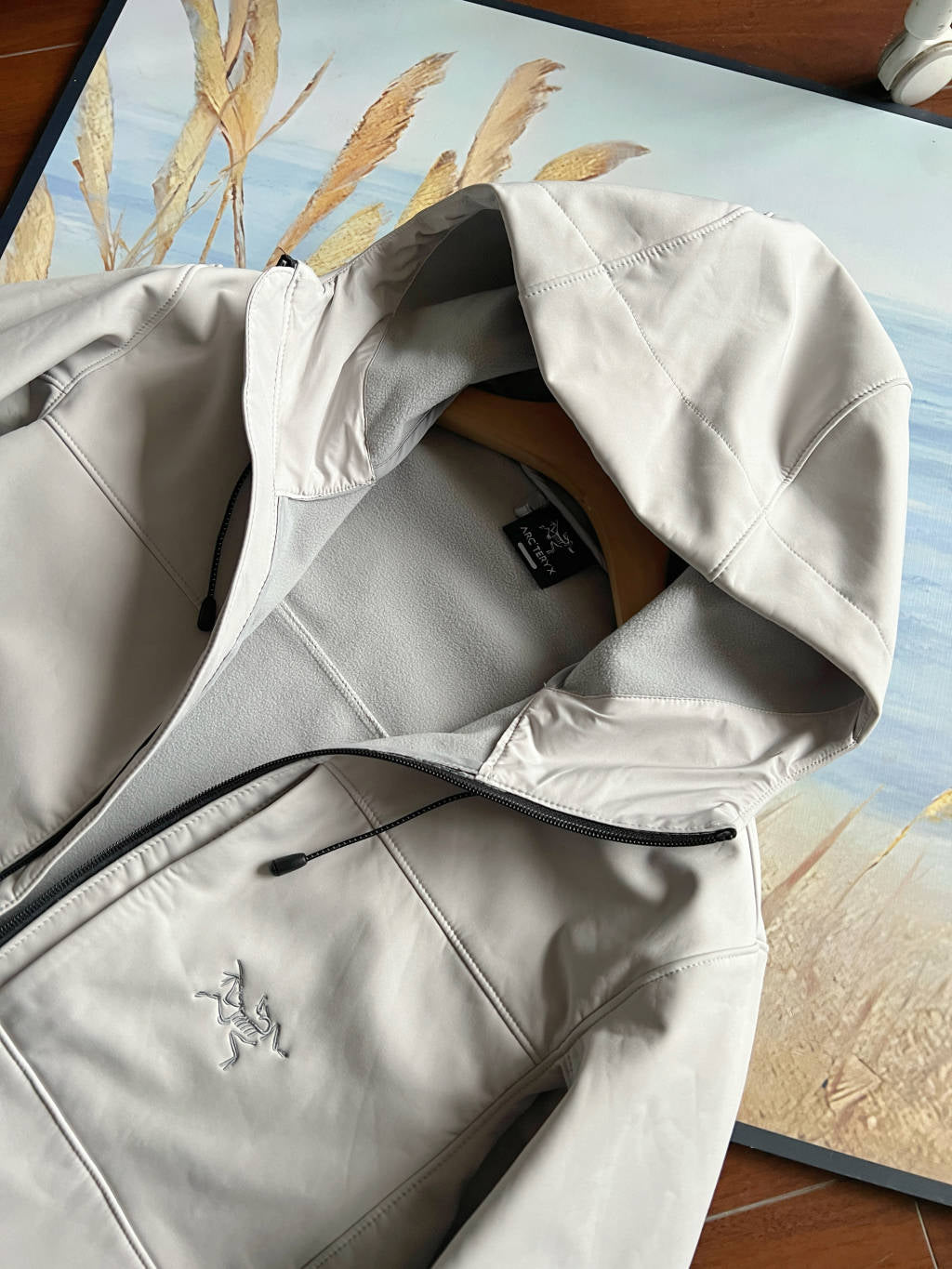 Arc'teryx GAMMA MX Softshell Hooded Jacket