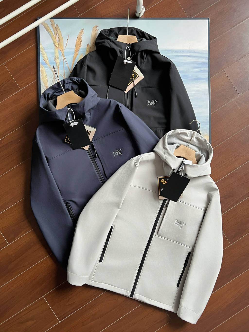 Arc'teryx GAMMA MX Softshell Hooded Jacket