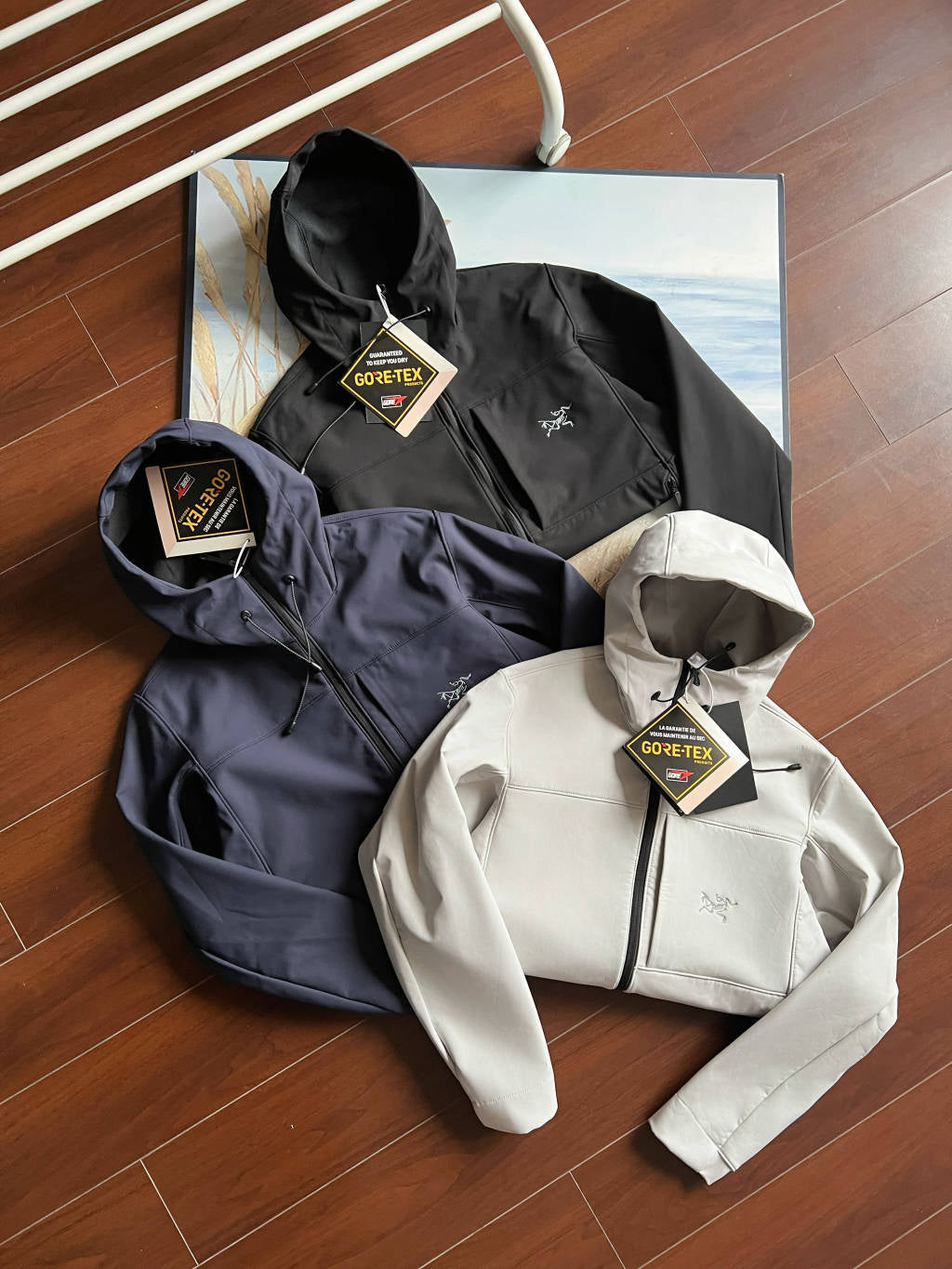 Arc'teryx GAMMA MX Softshell Hooded Jacket
