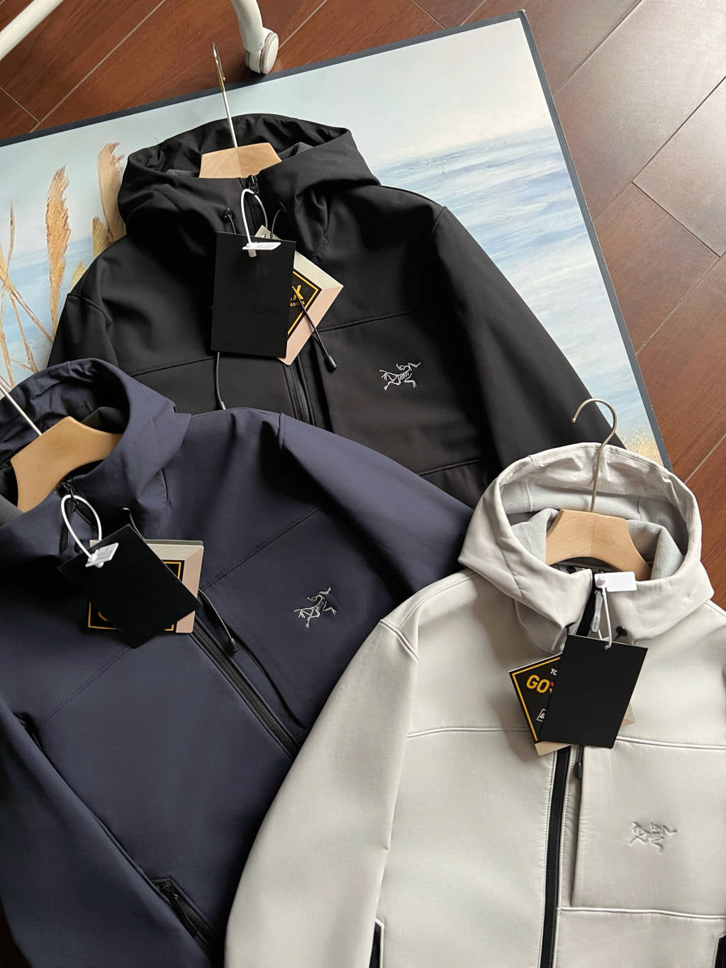 Arc'teryx GAMMA MX Softshell Hooded Jacket