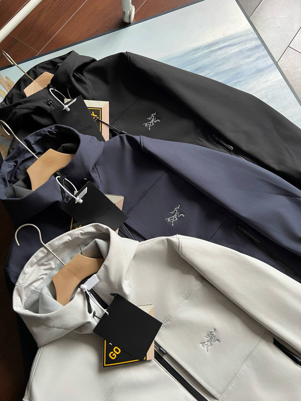 Arc'teryx GAMMA MX Softshell Hooded Jacket