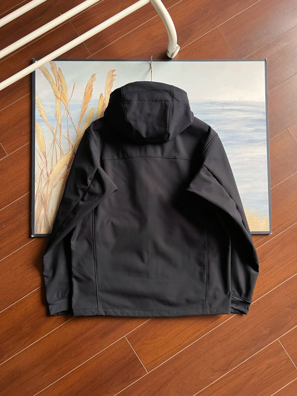 Arc'teryx GAMMA MX Softshell Hooded Jacket
