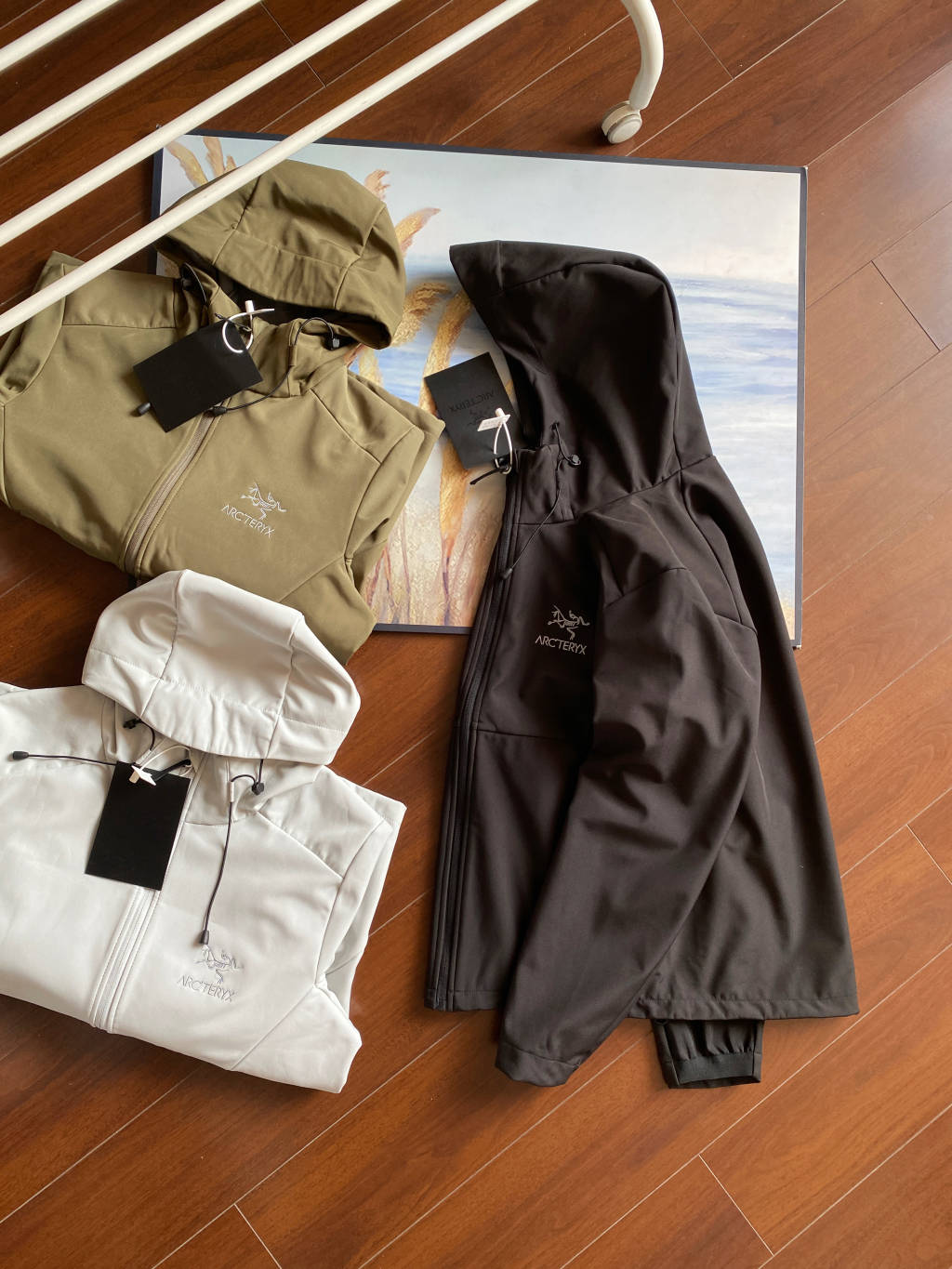 Arc'teryx Isogon Hooded Softshell Jacket
