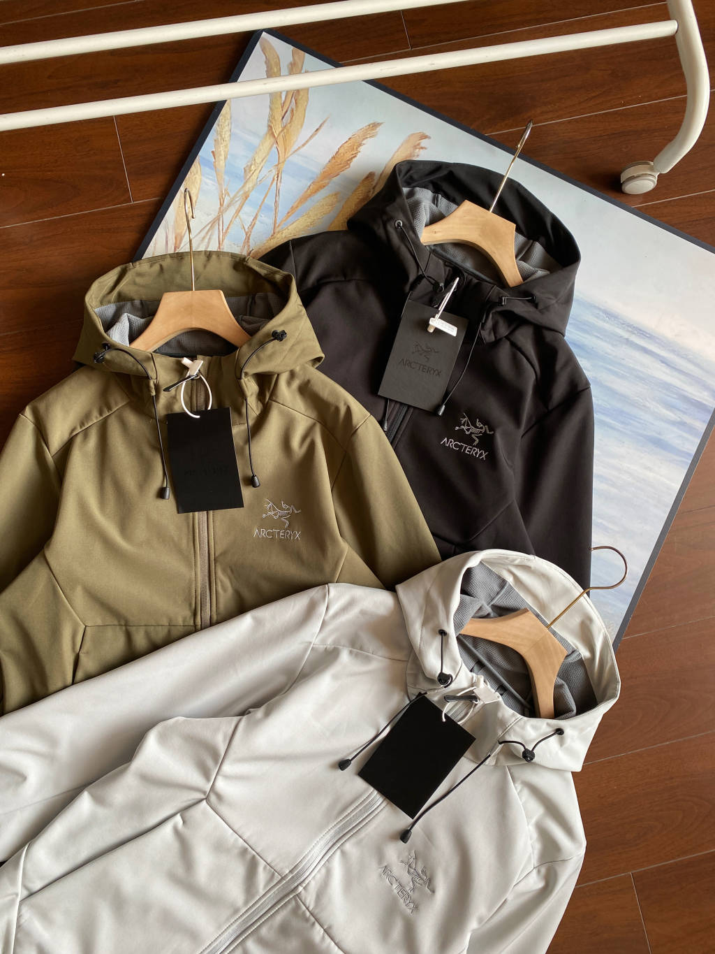 Arc'teryx Isogon Hooded Softshell Jacket