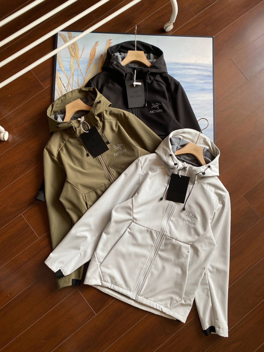 Arc'teryx Isogon Hooded Softshell Jacket