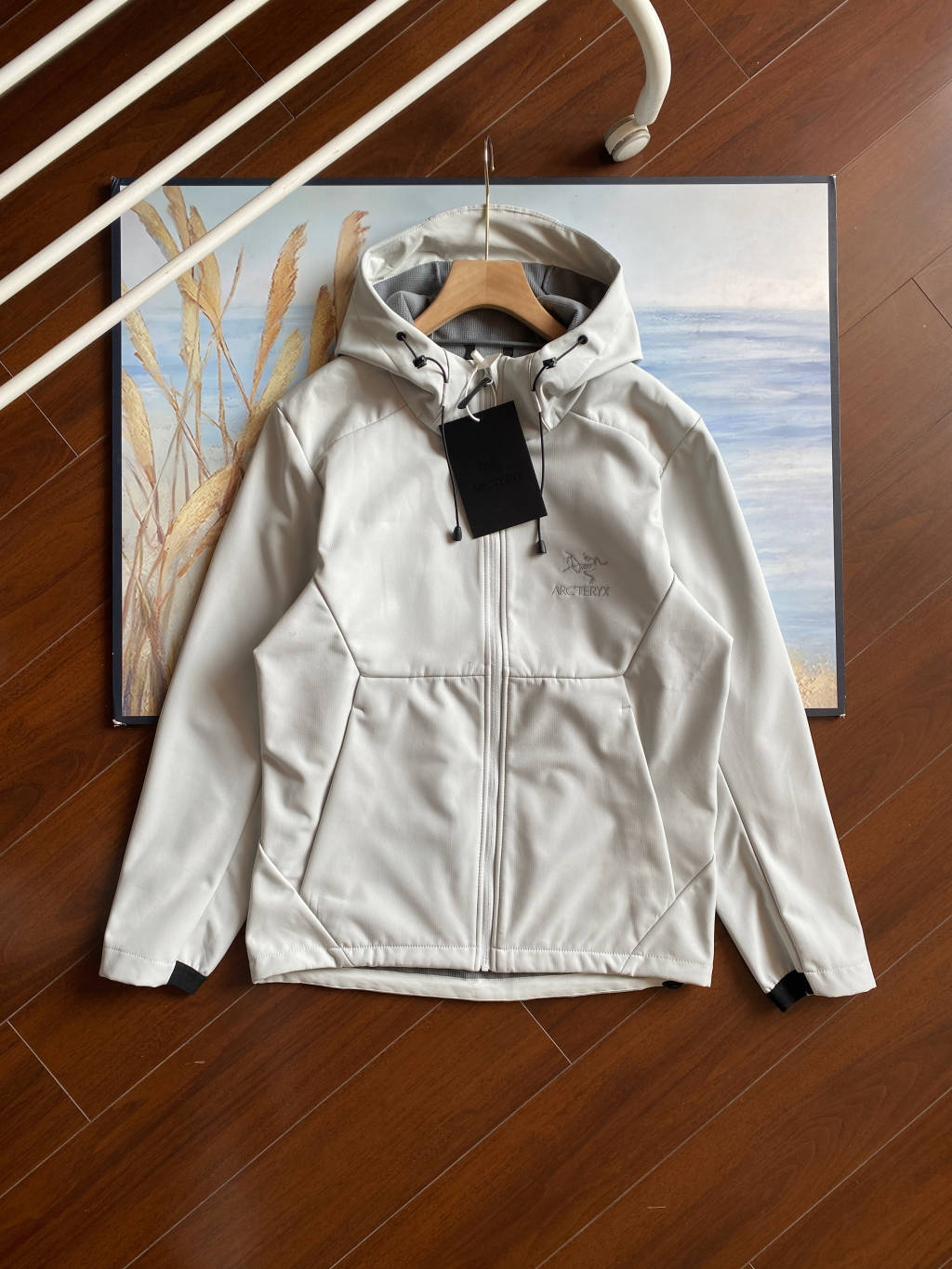 Arc'teryx Isogon Hooded Softshell Jacket