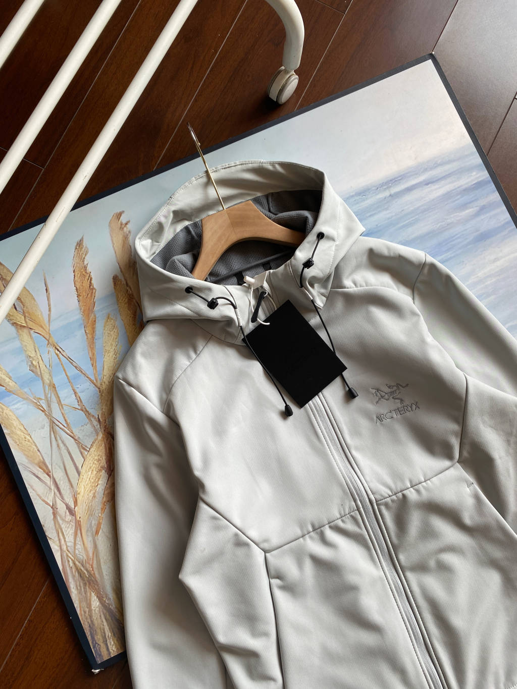 Arc'teryx Isogon Hooded Softshell Jacket