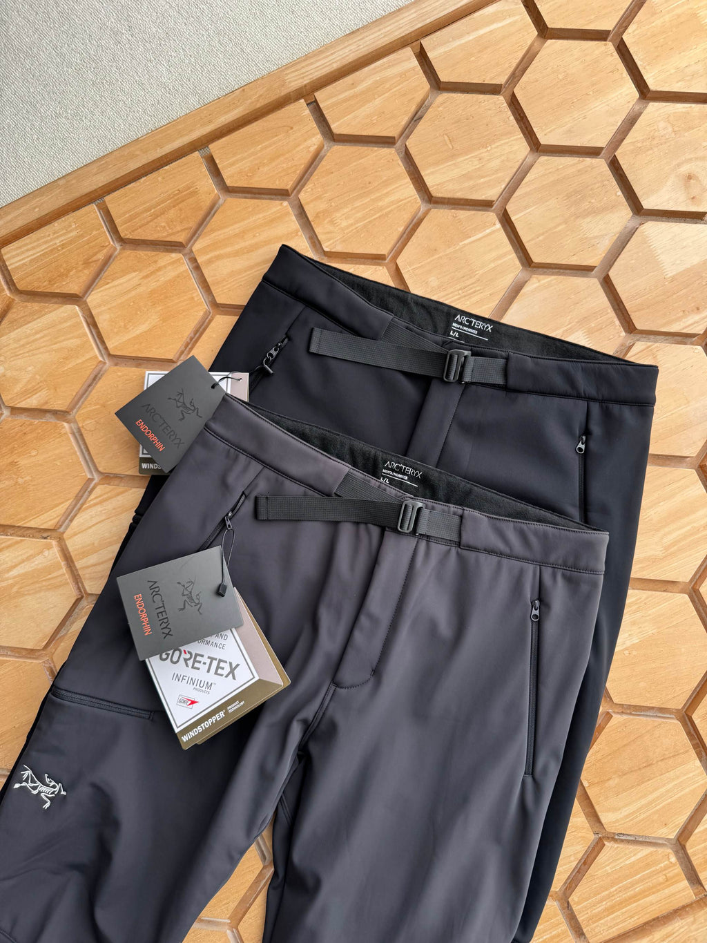 Arc'teryx Gamma Pant Windproof Fleece Softshell Trousers