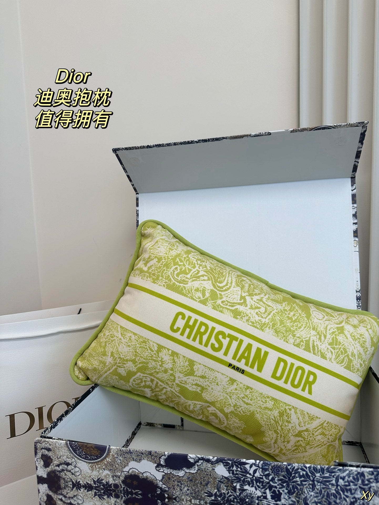 Dior Limited Edition Home Pillow – XYBH