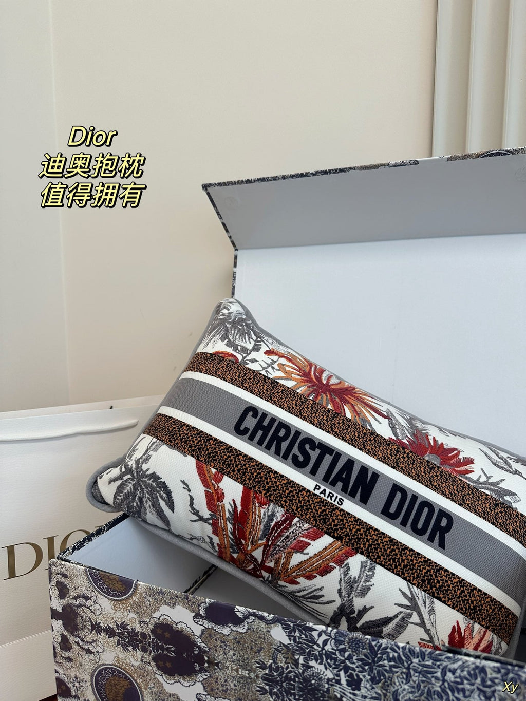 Dior Limited Edition Home Pillow – XYBH