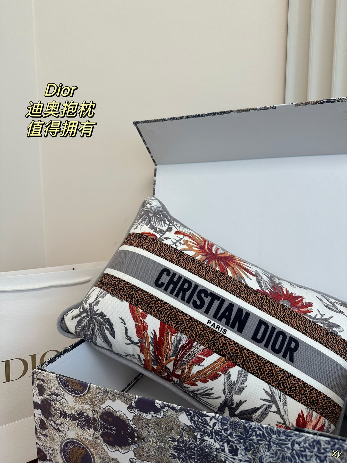 Dior Limited Edition Home Pillow – XYBH