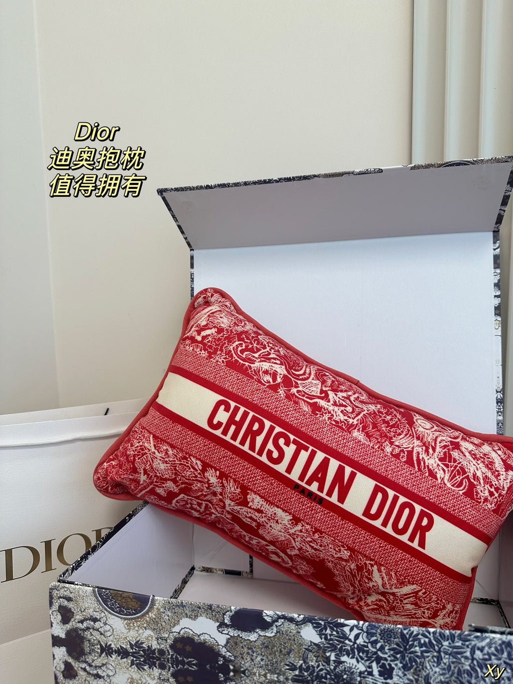 Dior Limited Edition Home Pillow – XYBH