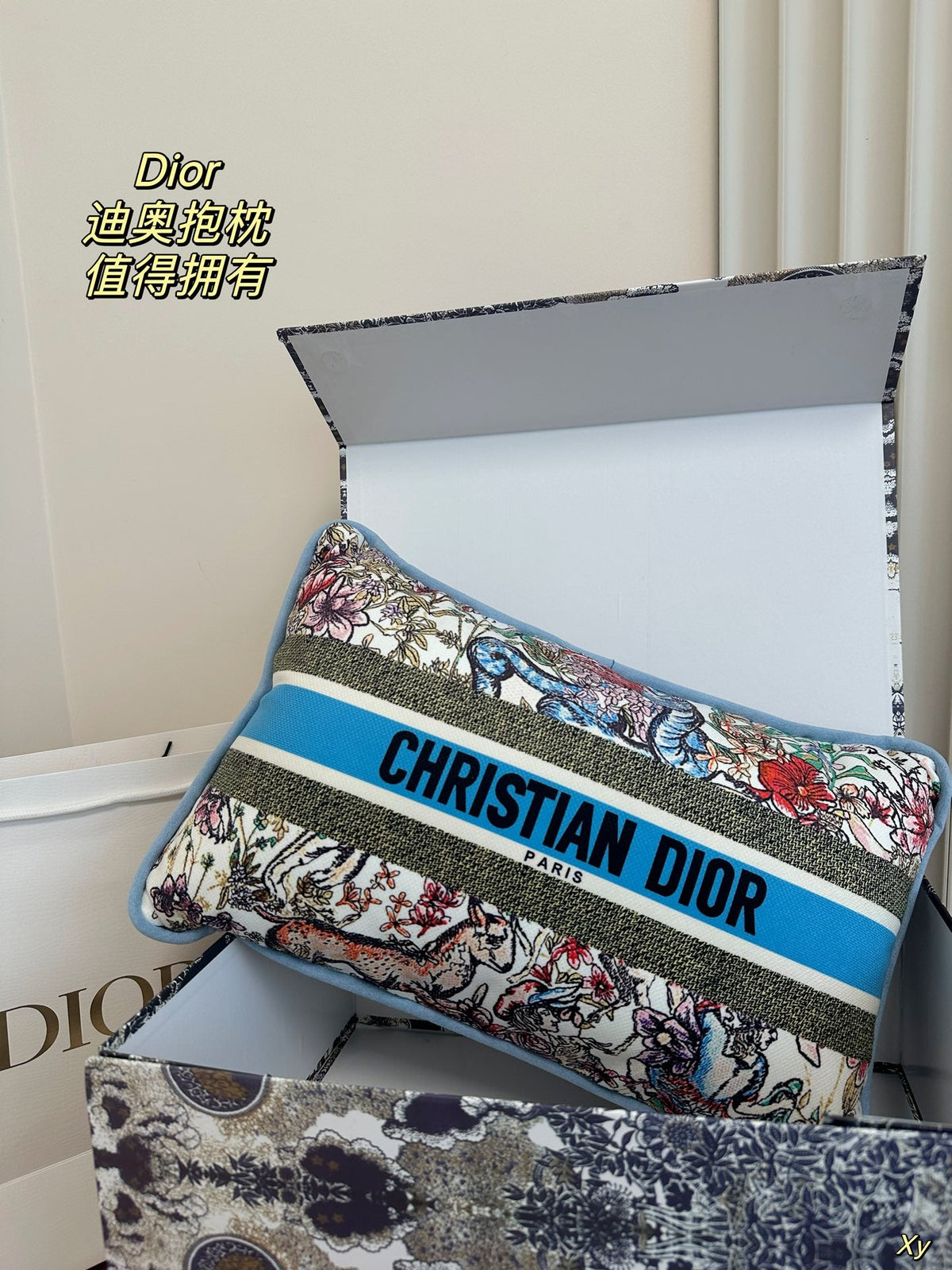 Dior Limited Edition Home Pillow – XYBH