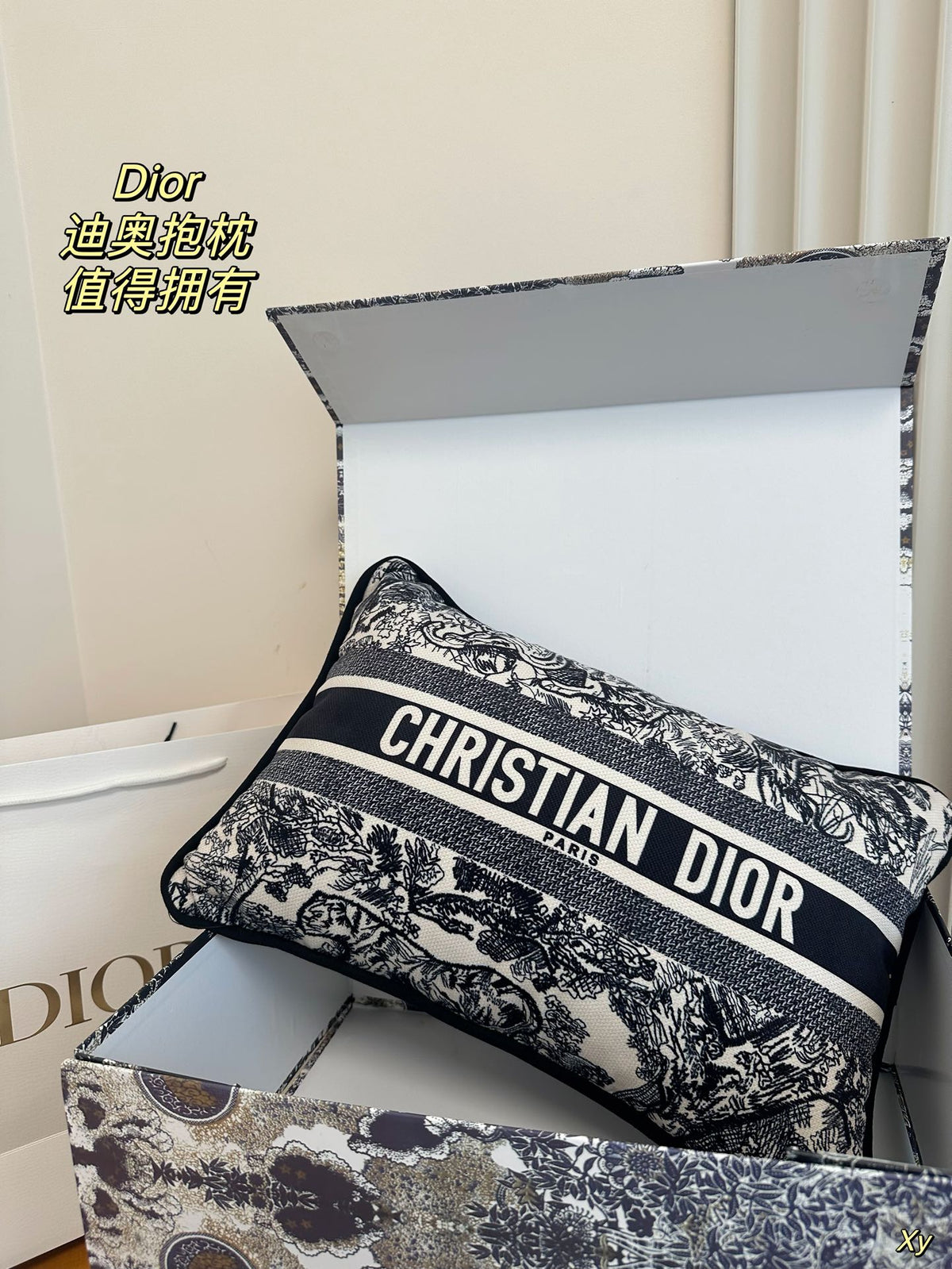 Dior Limited Edition Home Pillow – XYBH