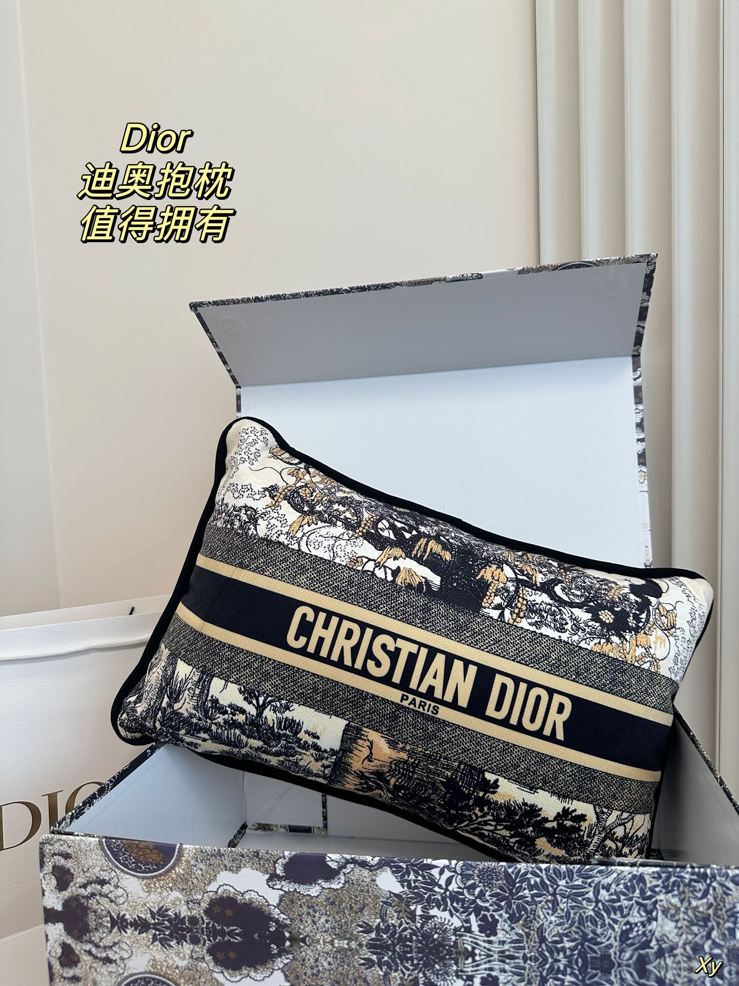 Dior Limited Edition Home Pillow – XYBH