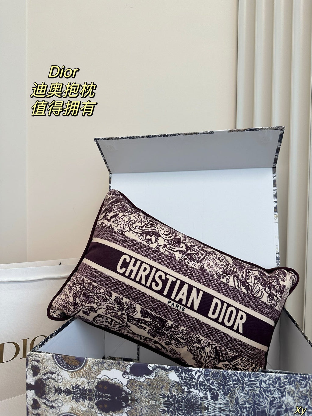 Dior Limited Edition Home Pillow – XYBH