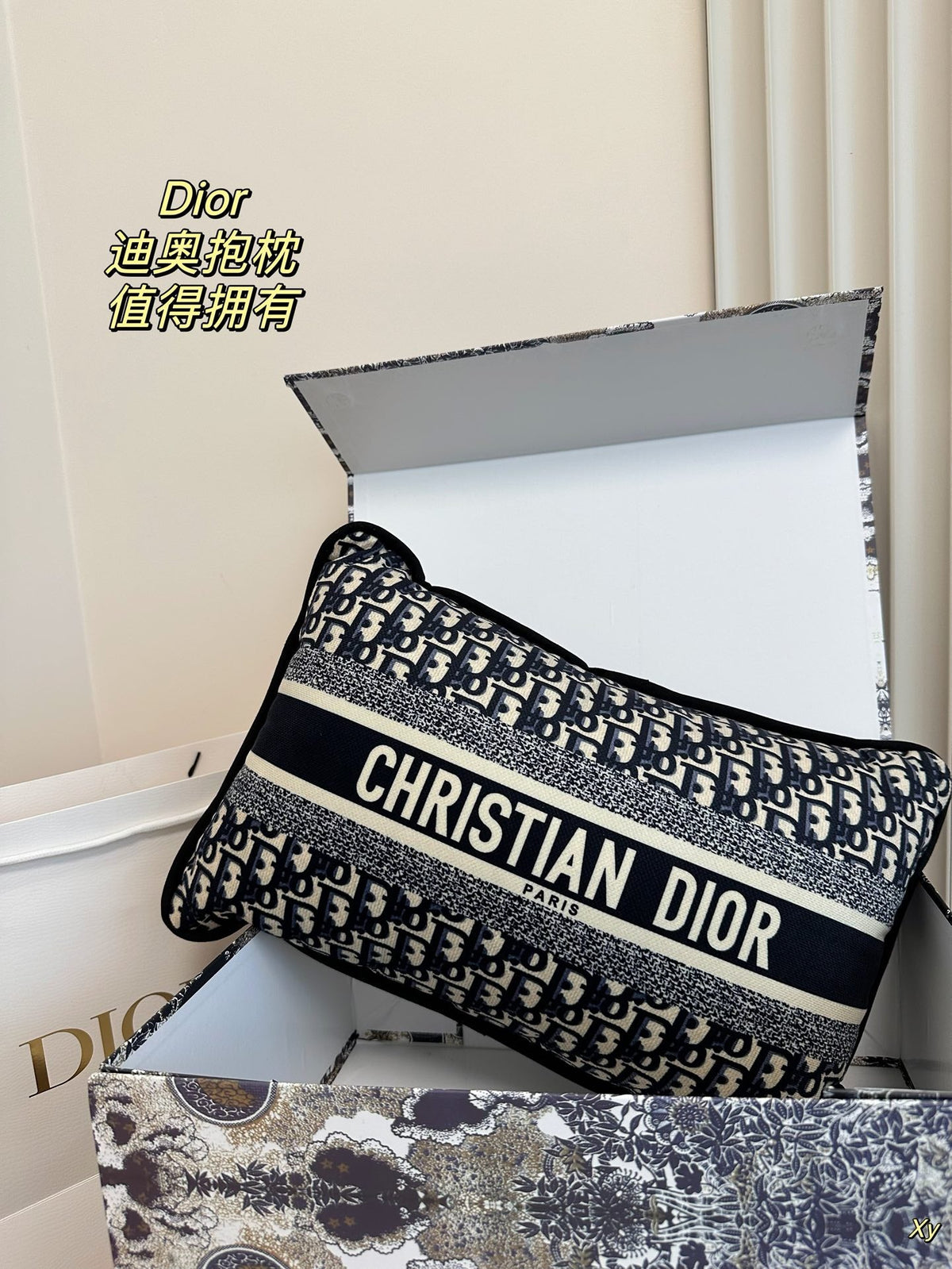 Dior Limited Edition Home Pillow – XYBH