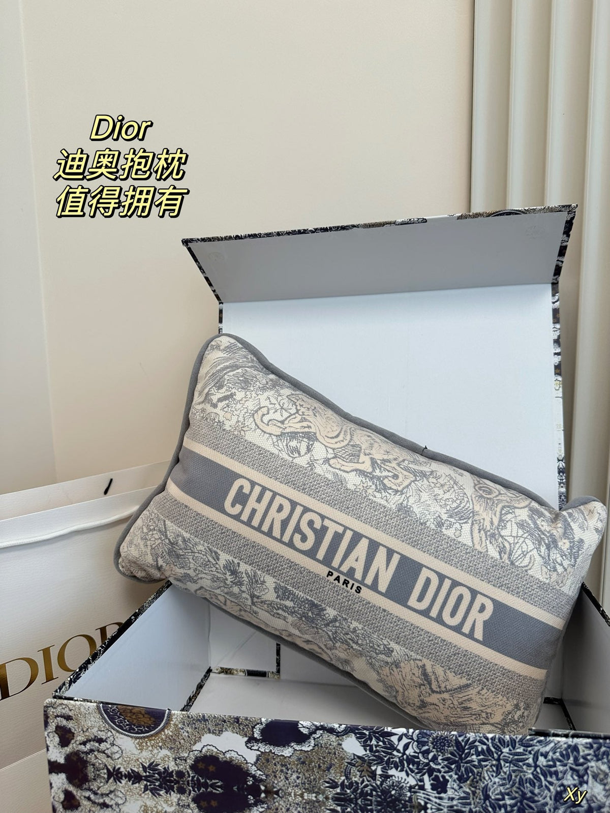 Dior Limited Edition Home Pillow – XYBH