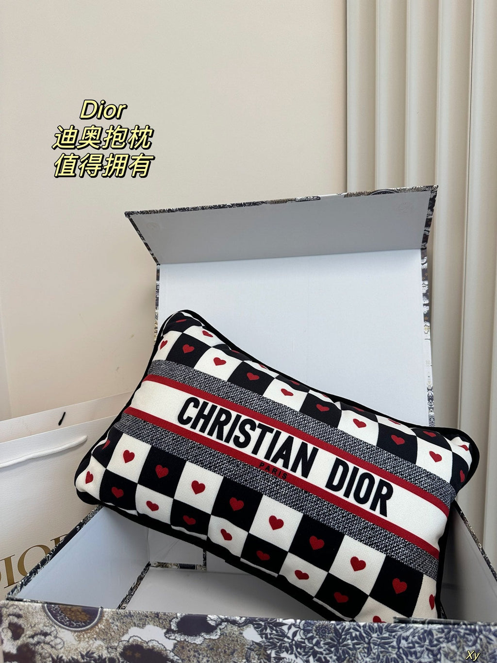 Dior Limited Edition Home Pillow – XYBH