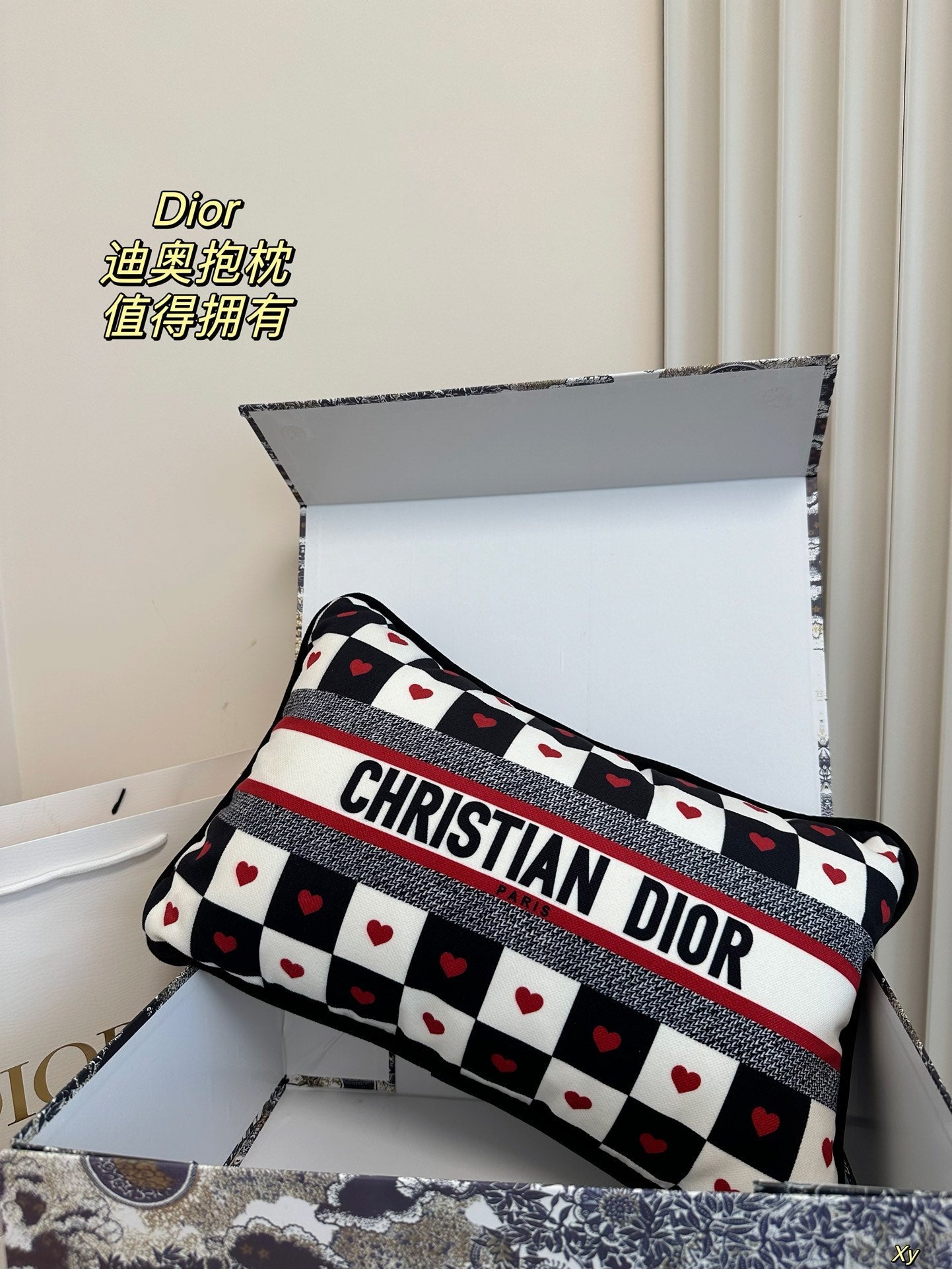 Dior Limited Edition Home Pillow – XYBH