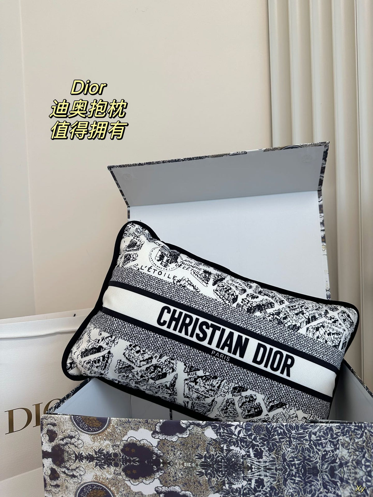 Dior Limited Edition Home Pillow – XYBH