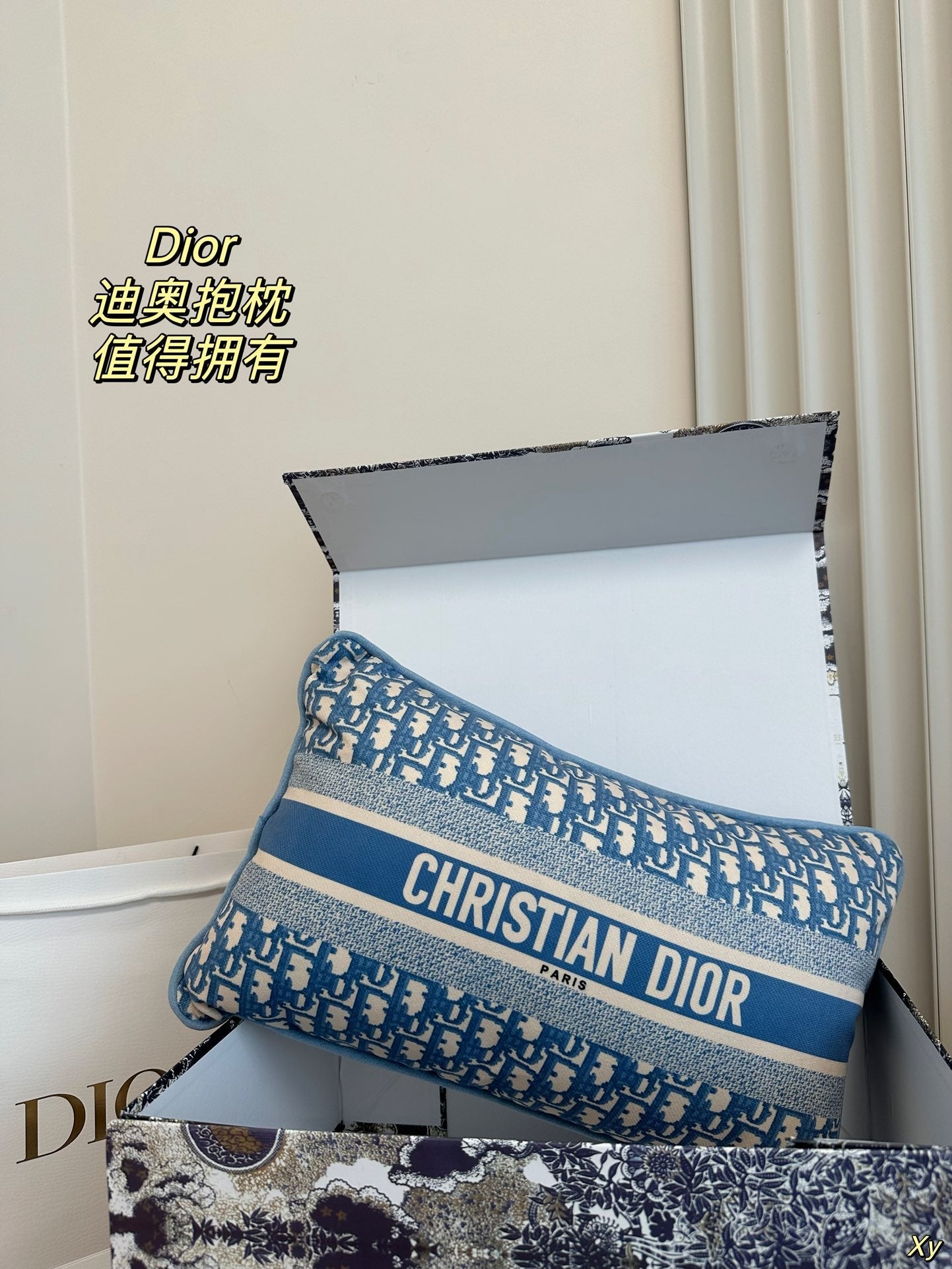 Dior Limited Edition Home Pillow – XYBH