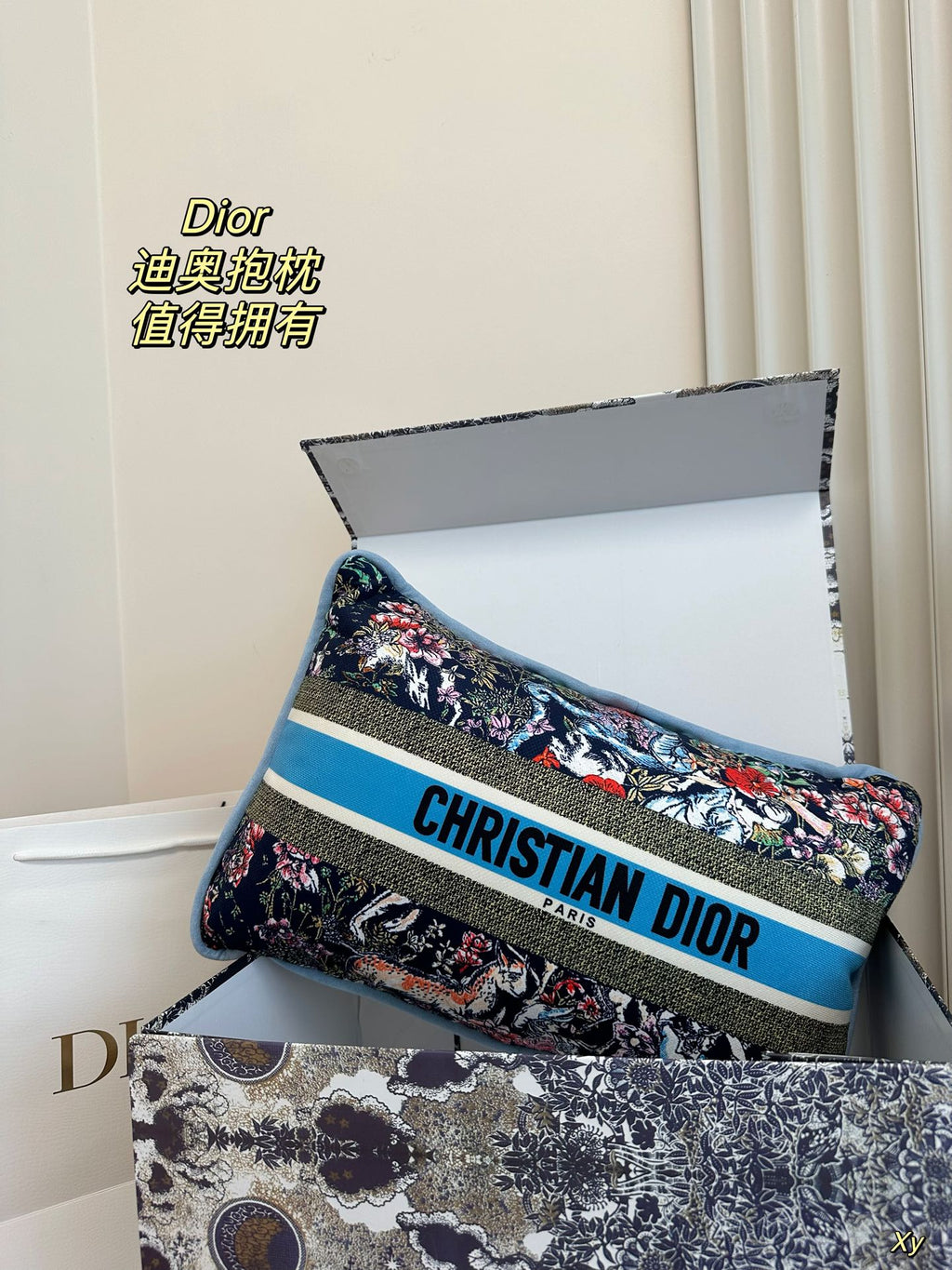 Dior Limited Edition Home Pillow – XYBH
