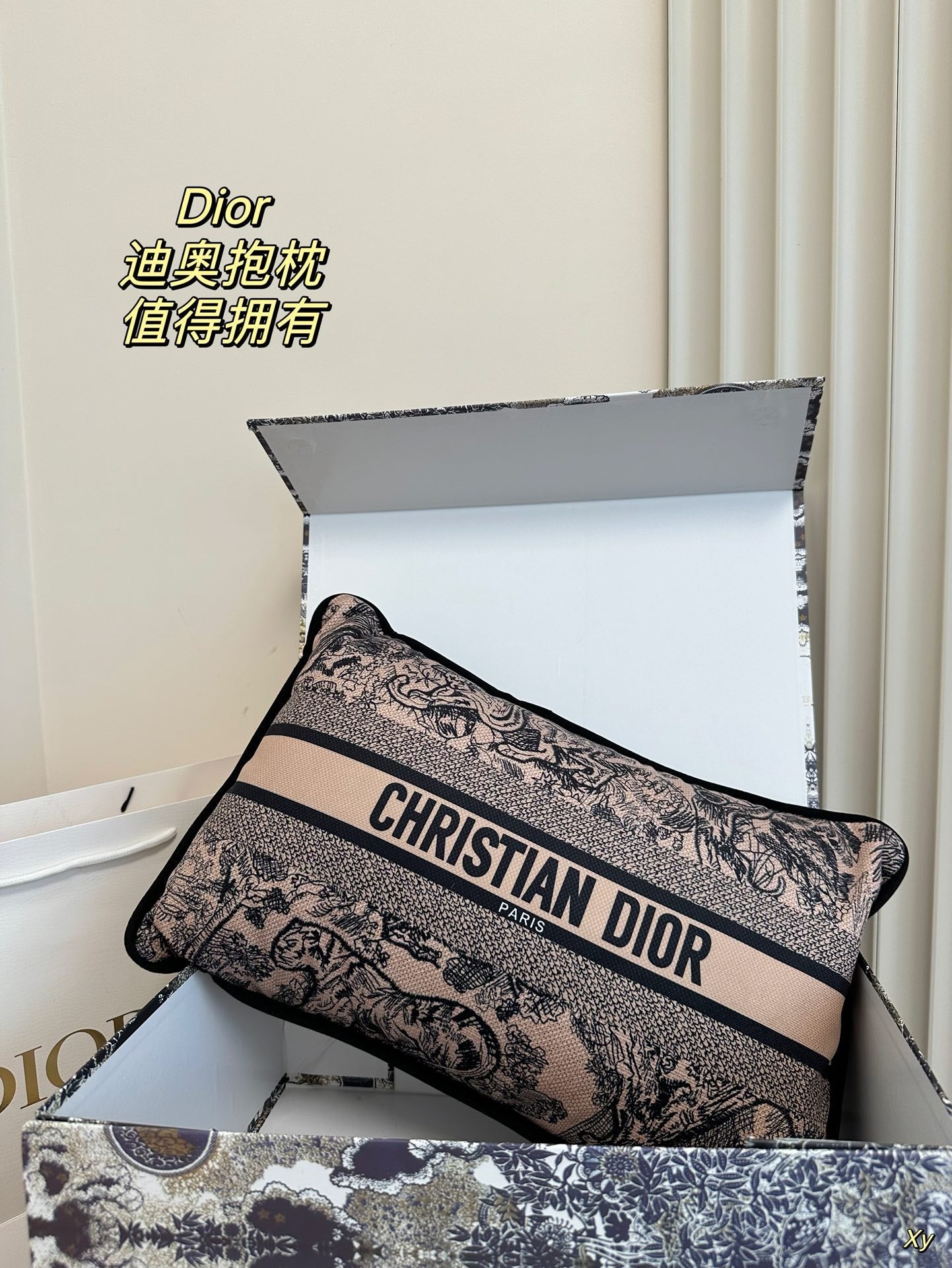 Dior Limited Edition Home Pillow – XYBH