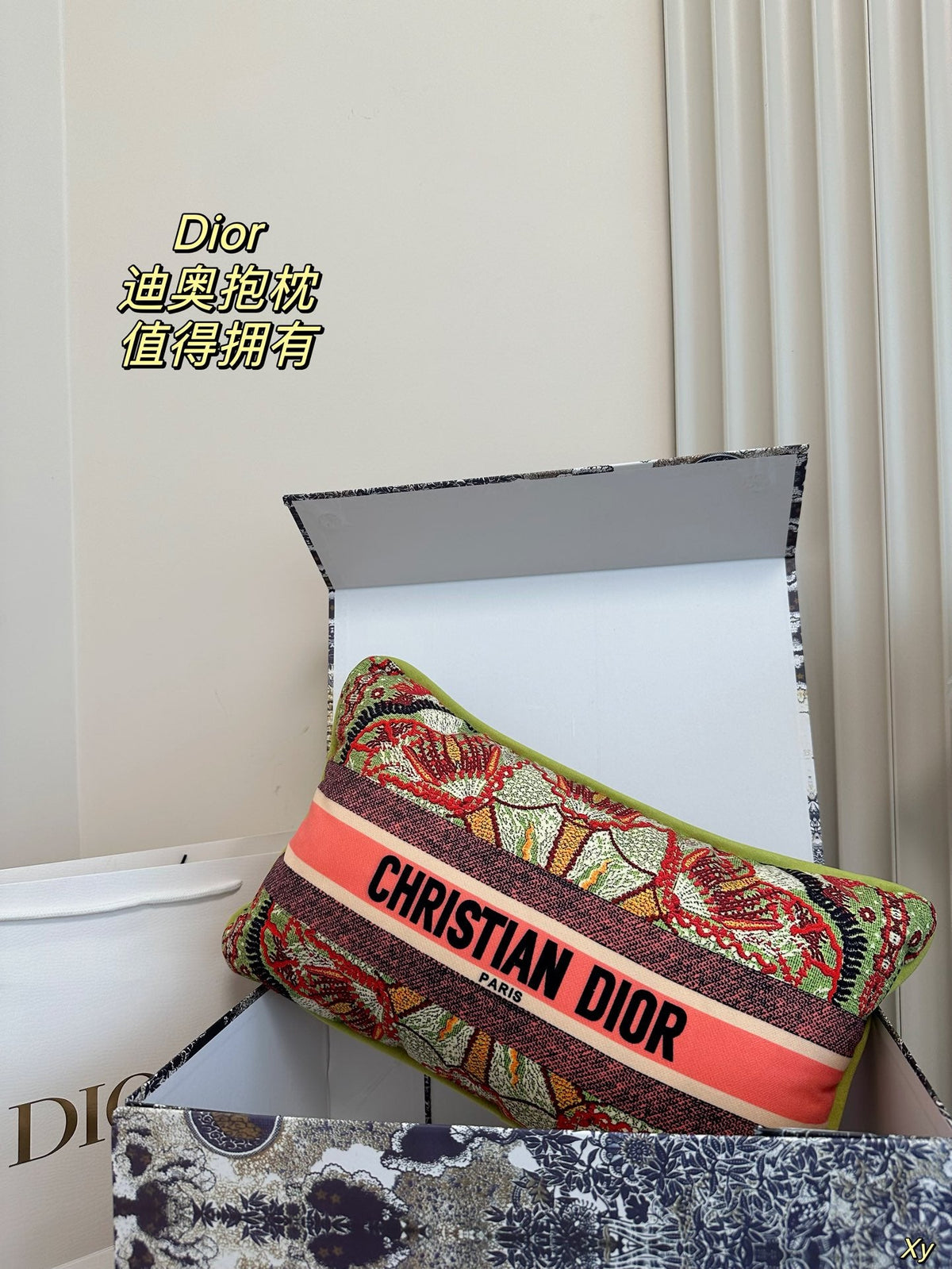 Dior Limited Edition Home Pillow – XYBH