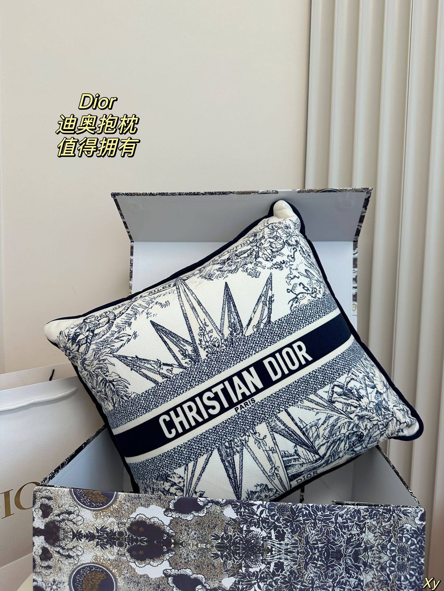 Dior Limited Edition Home Pillow