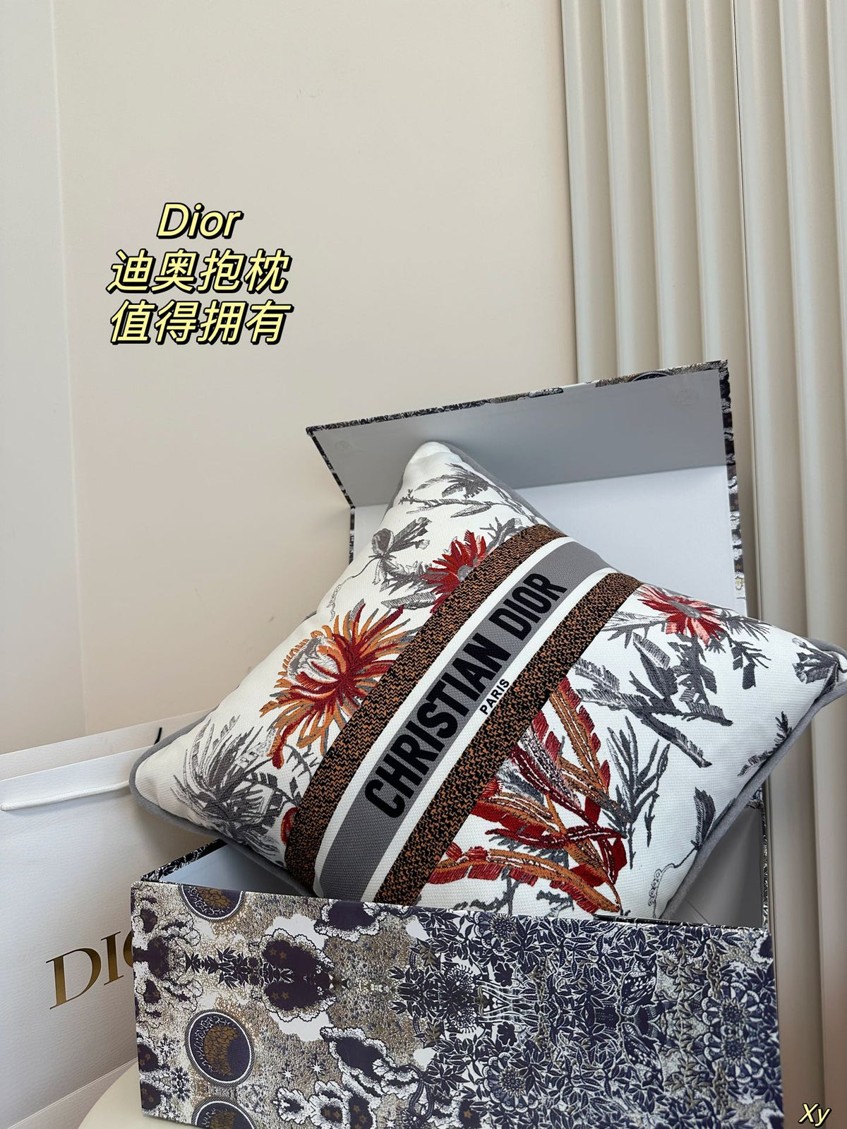 Dior Limited Edition Home Pillow