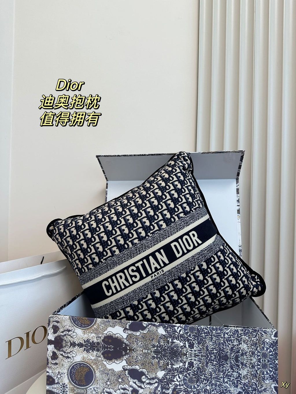 Dior Limited Edition Home Pillow