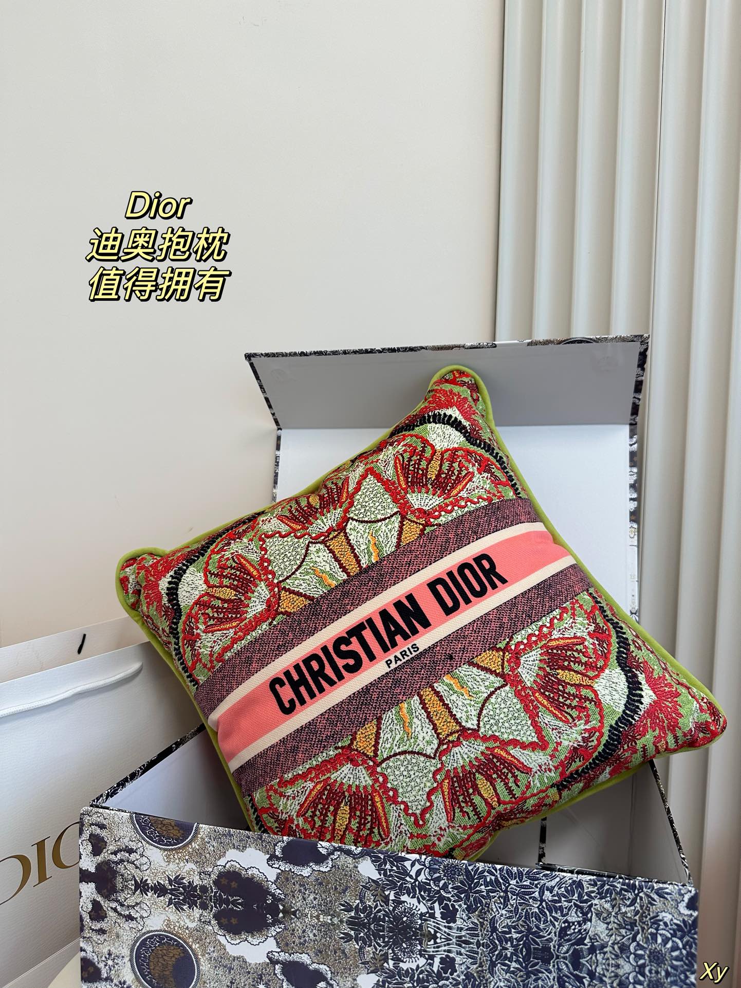 Dior Limited Edition Home Pillow