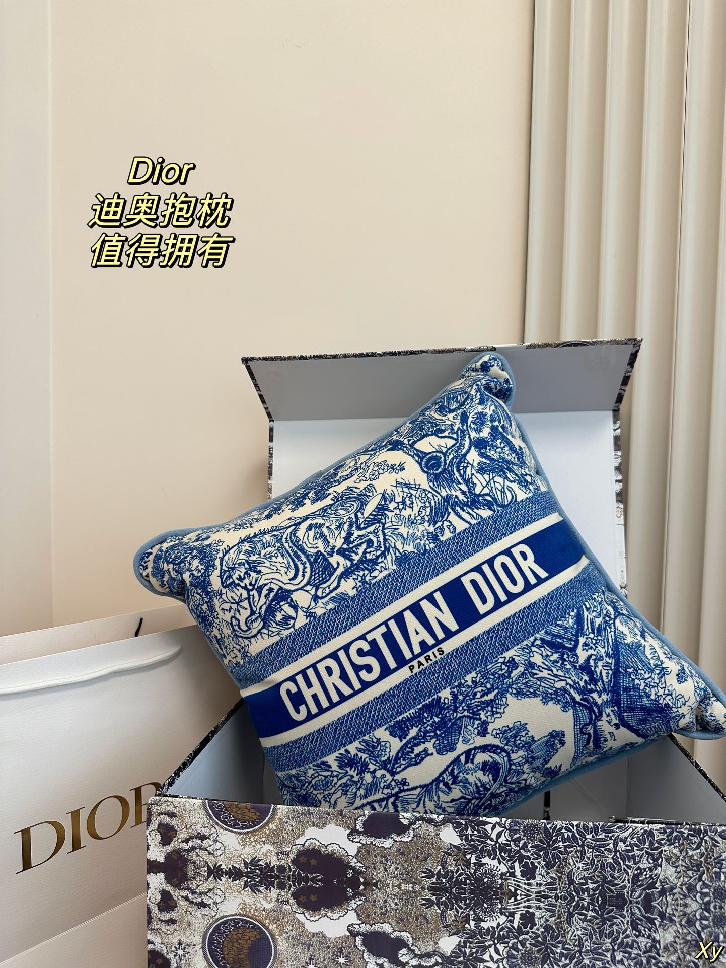 Dior Limited Edition Home Pillow