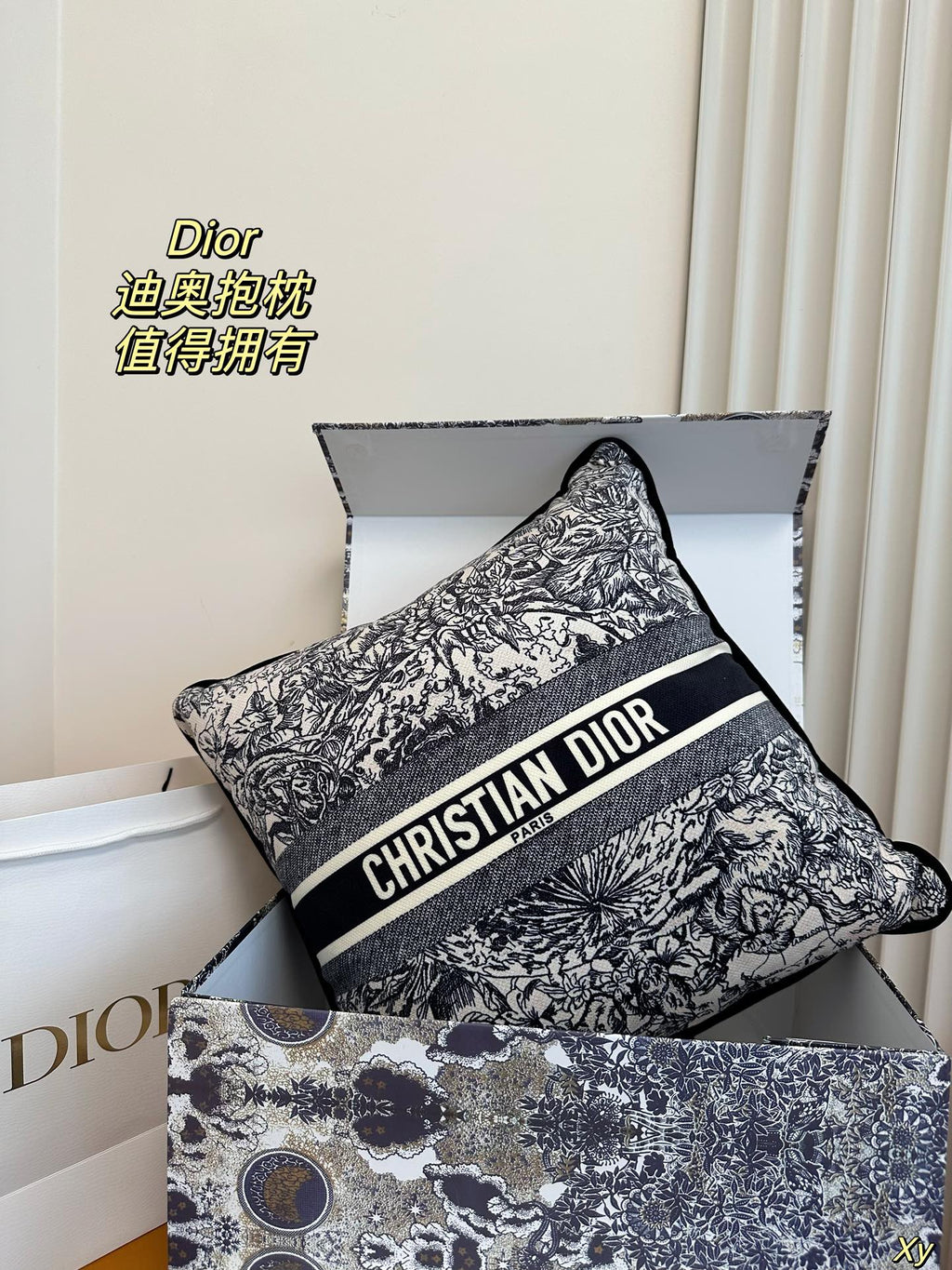 Dior Limited Edition Home Pillow