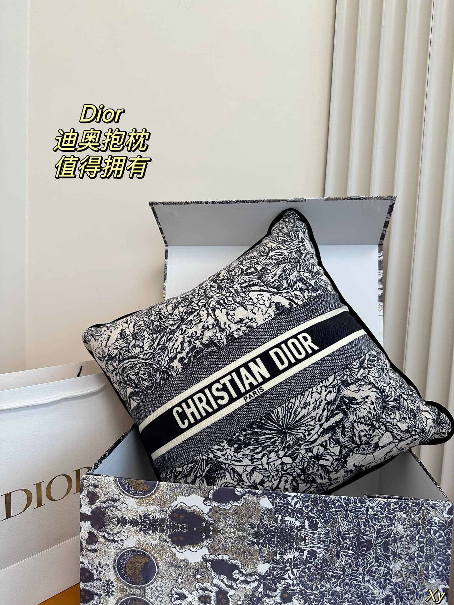 Dior Limited Edition Home Pillow