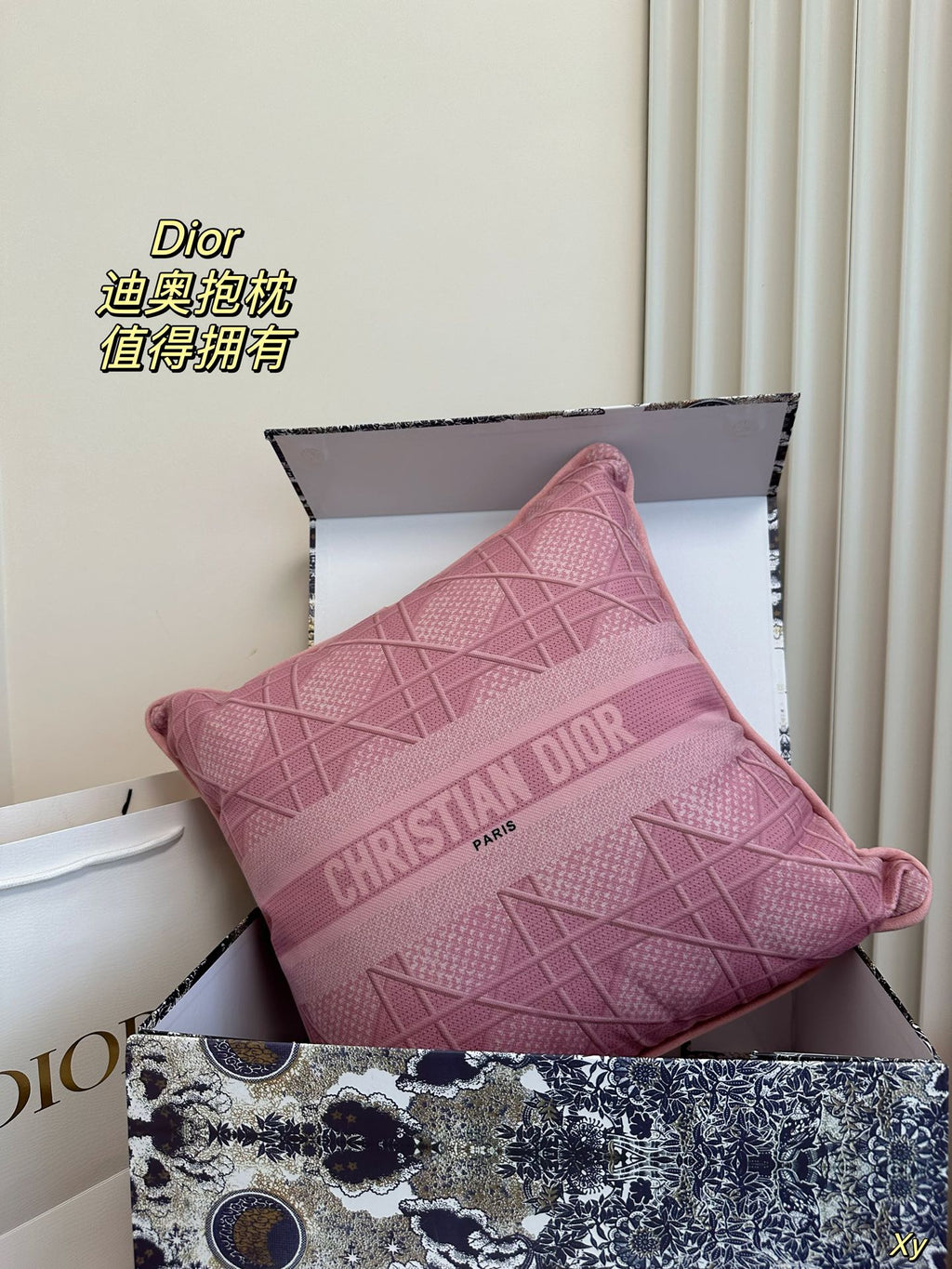 Dior Limited Edition Home Pillow