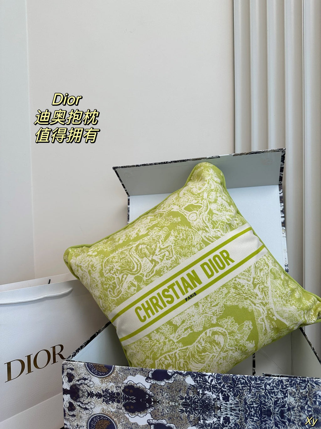 Dior Limited Edition Home Pillow