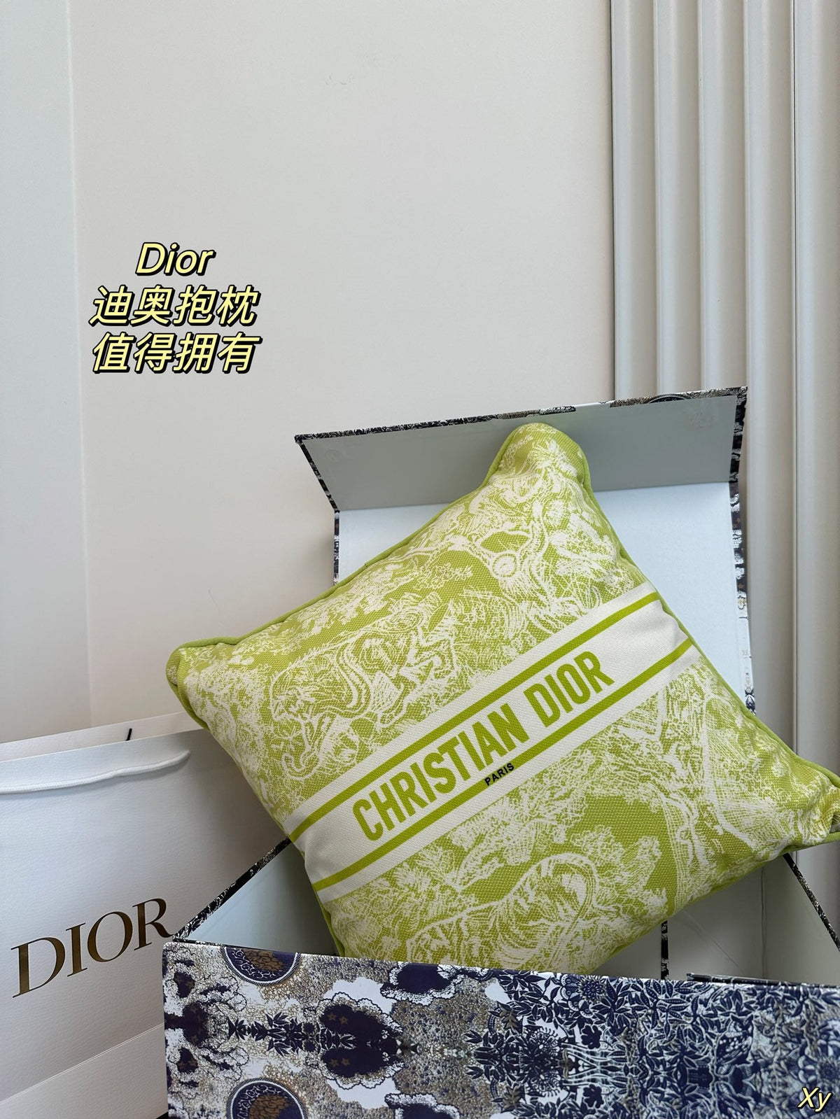 Dior Limited Edition Home Pillow