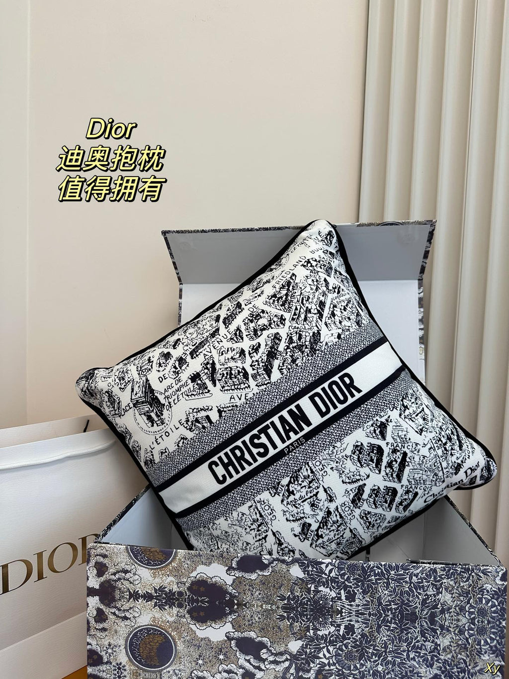 Dior Limited Edition Home Pillow