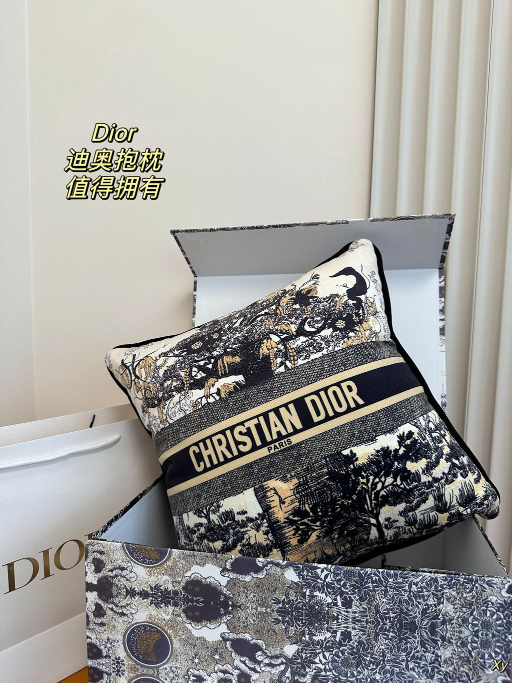Dior Limited Edition Home Pillow