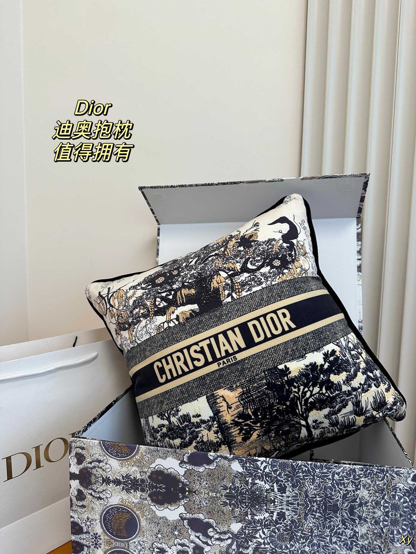 Dior Limited Edition Home Pillow