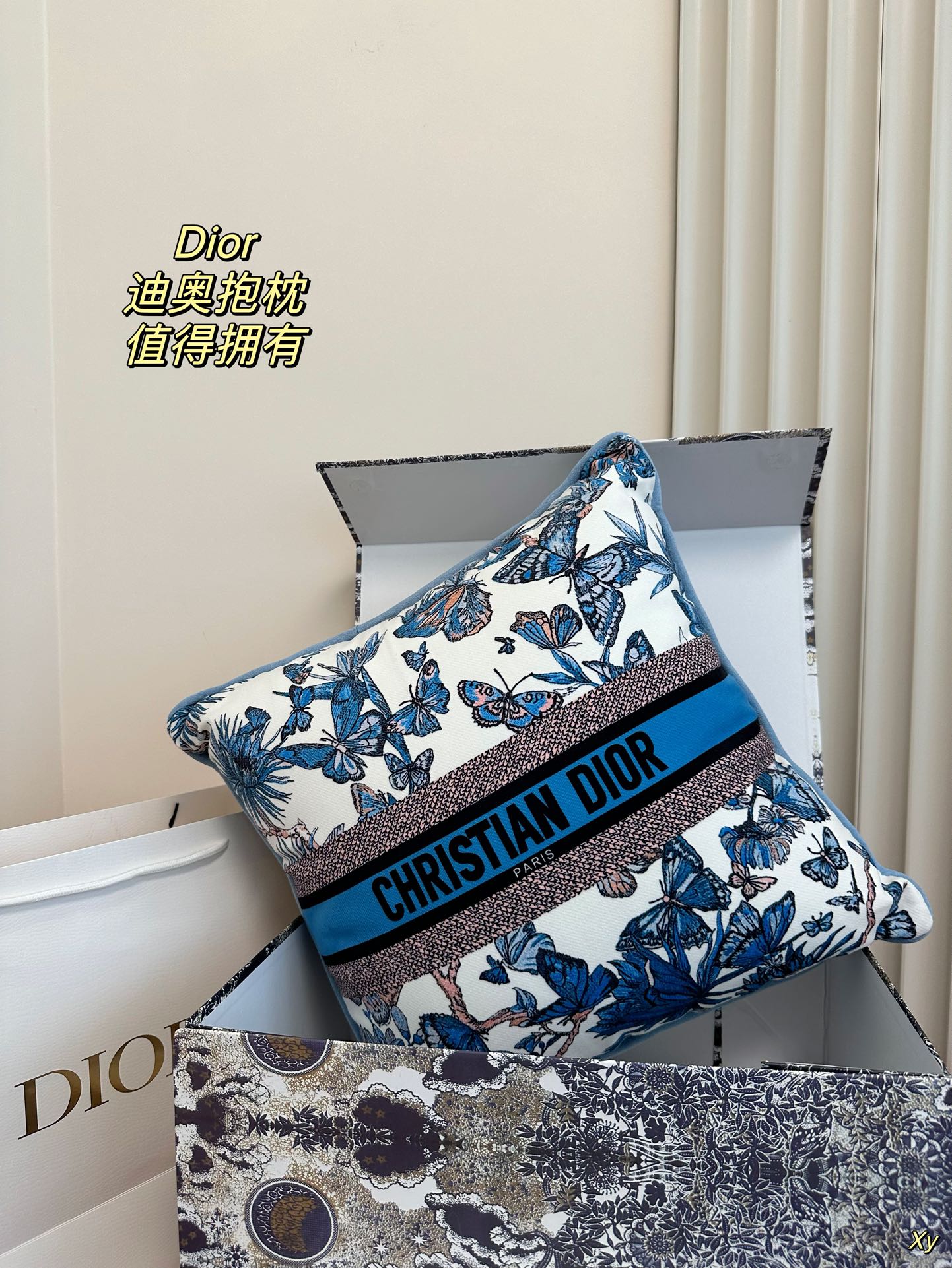 Dior Limited Edition Home Pillow