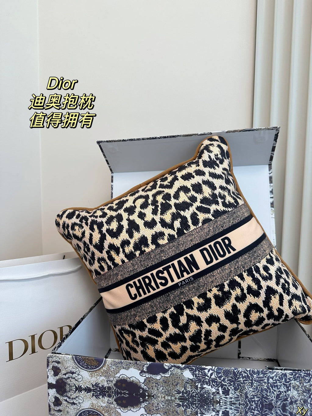 Dior Limited Edition Home Pillow