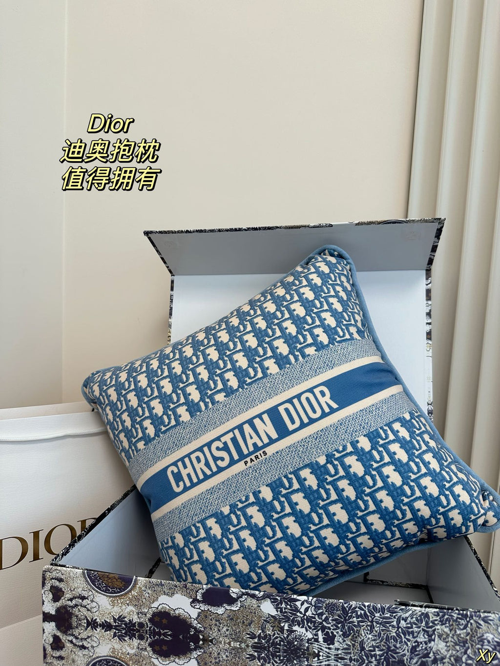 Dior Limited Edition Home Pillow